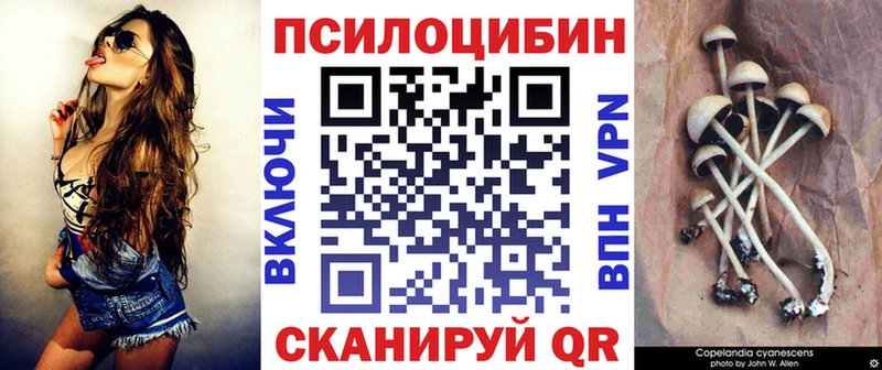 MEGA сайт  Москва  Псилоцибиновые грибы Psilocybine cubensis 