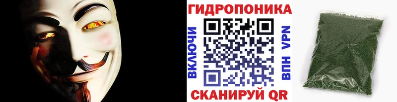 Марихуана OG Kush Москва